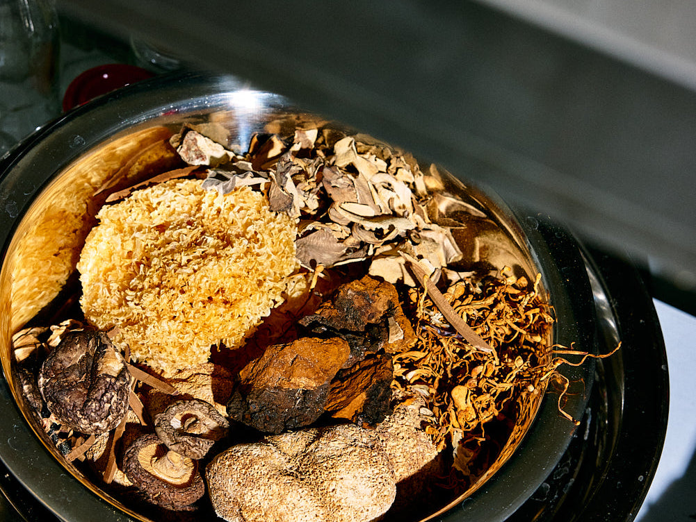 A GUIDE TO MUSHROOM & BOTANICAL TERMS
